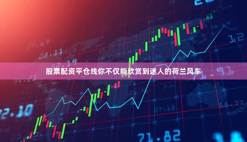 股票配资平仓线你不仅能欣赏到迷人的荷兰风车