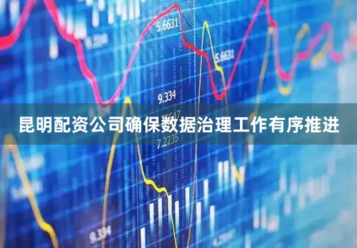 昆明配资公司确保数据治理工作有序推进