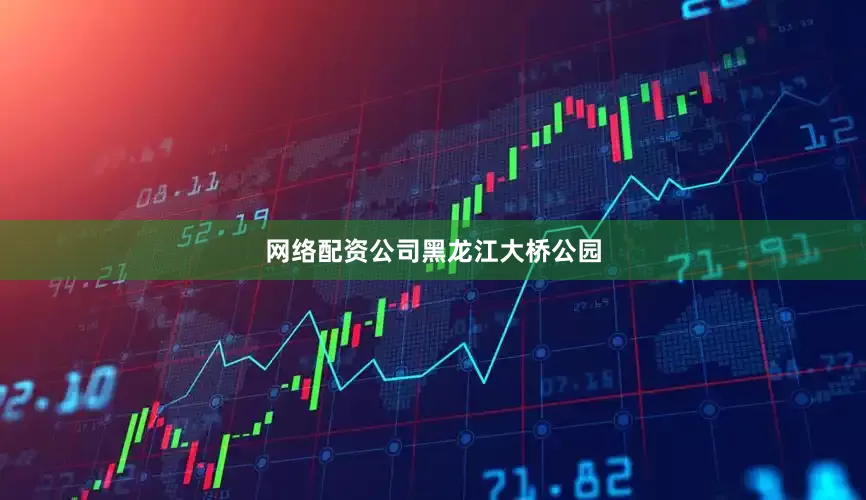 网络配资公司黑龙江大桥公园