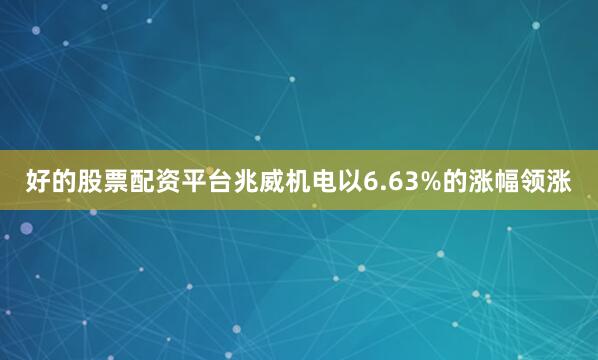 好的股票配资平台兆威机电以6.63%的涨幅领涨